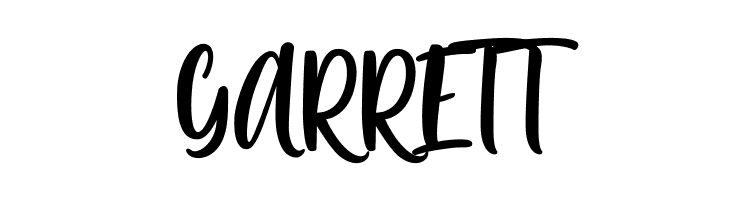 Passengers Script  Free Fonts Download