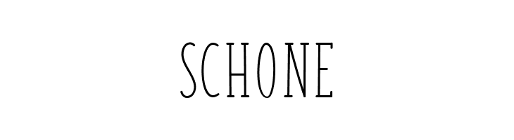 SCHONE FISH&CHIPS-Regular Font