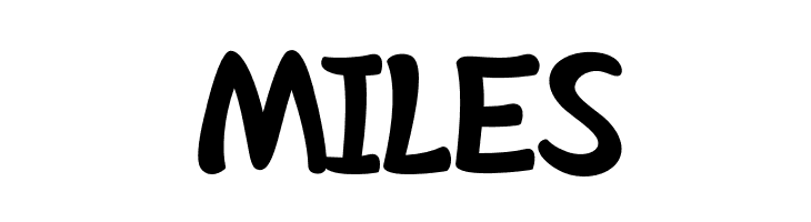 SheltaHand*-Bold  Free Fonts Download
