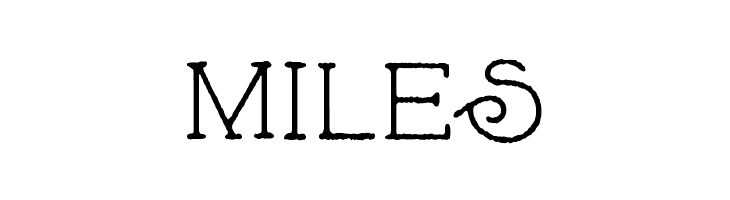 Skybird Rough  Free Fonts Download