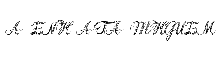 Thank you Drf Extra  Free Fonts Download