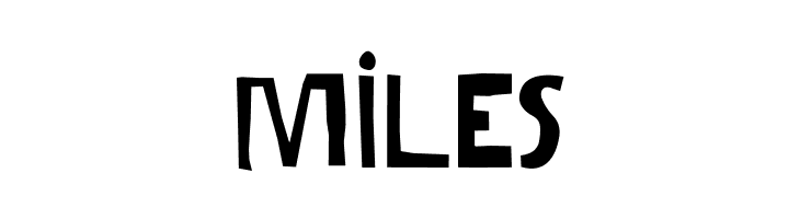 Gabi Sans Irregular  Free Fonts Download