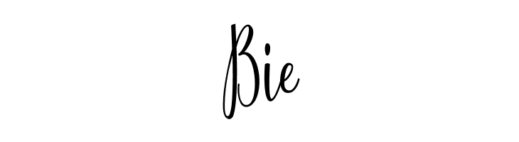 Salwa reguler  Free Fonts Download