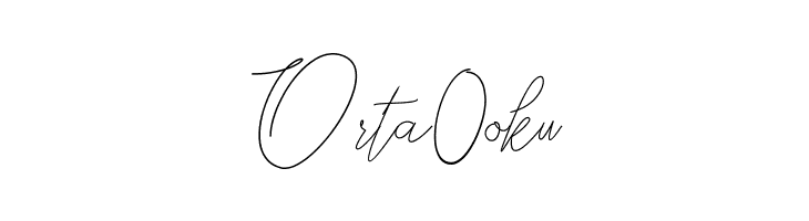 Bellya Vaky  Free Fonts Download