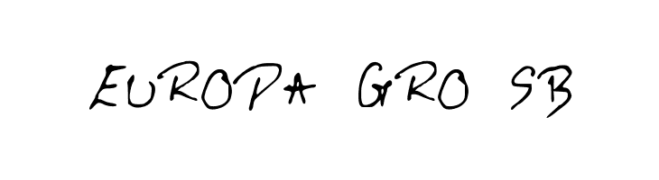 RitviksHandwriting  Free Fonts Download