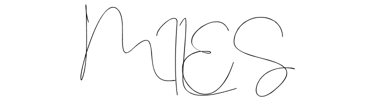 Stealletto  Free Fonts Download