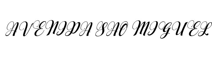 AqualitaItalic  Free Fonts Download
