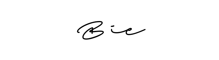 Beach Script Regular  Free Fonts Download