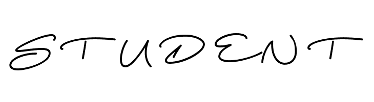 Beach Script Regular  Free Fonts Download