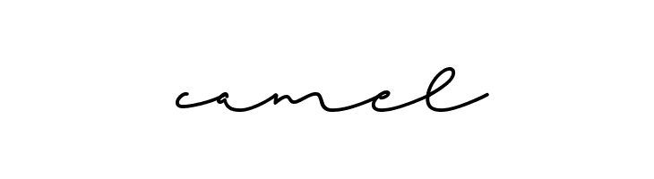 Beach Script Regular  Free Fonts Download