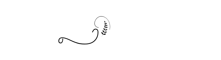 Budapest Swashes  Free Fonts Download