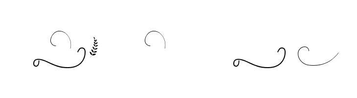 Budapest Swashes  Free Fonts Download