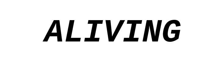 Liberation Mono Bold Italic  Free Fonts Download