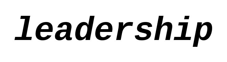 Liberation Mono Bold Italic  Free Fonts Download