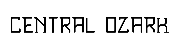 SBModernStd_Bold Regular  Free Fonts Download