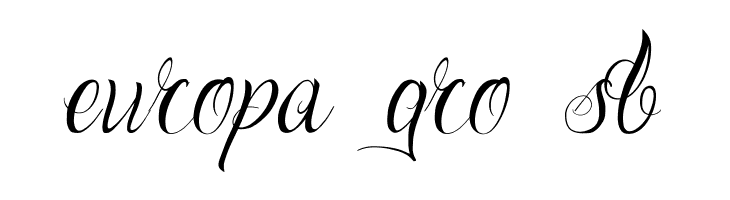 One Chance Script Regular  Free Fonts Download