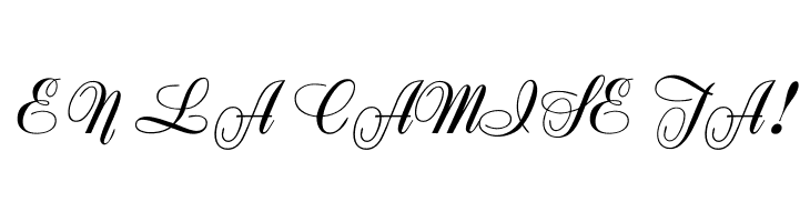 Zirkon  Free Fonts Download