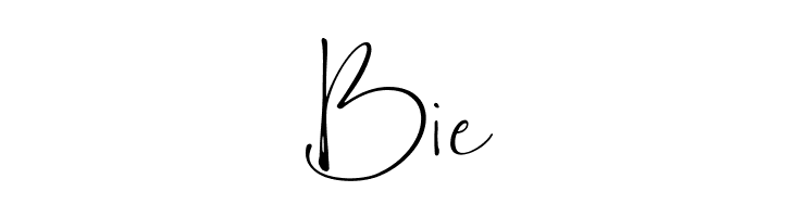 Bollivia Rosilla Script  Free Fonts Download