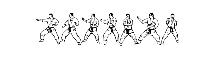 McCoy Dingbat Karate  Free Fonts Download