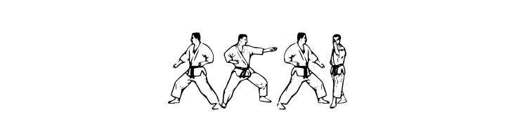 McCoy Dingbat Karate  Free Fonts Download