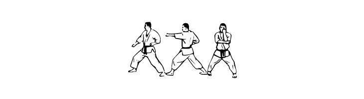 McCoy Dingbat Karate  Free Fonts Download