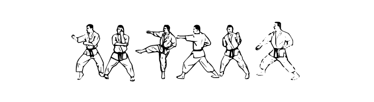 McCoy Dingbat Karate  Free Fonts Download