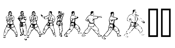 McCoy Dingbat Karate  Free Fonts Download