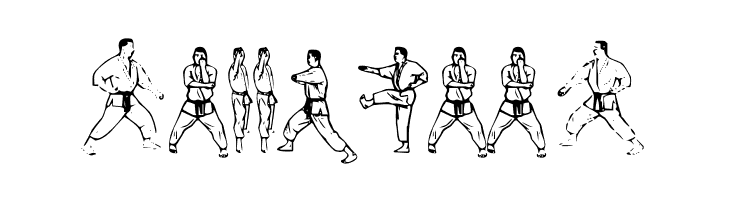 McCoy Dingbat Karate  Free Fonts Download