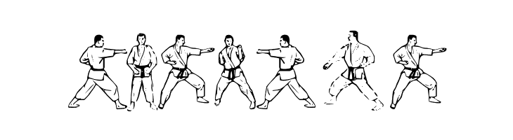 McCoy Dingbat Karate  Free Fonts Download