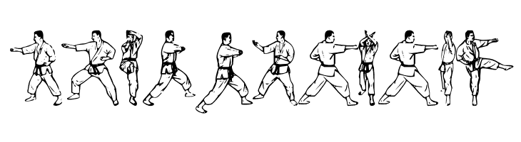 McCoy Dingbat Karate  Free Fonts Download