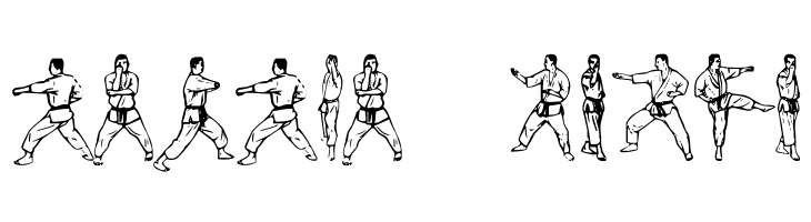 McCoy Dingbat Karate  Free Fonts Download