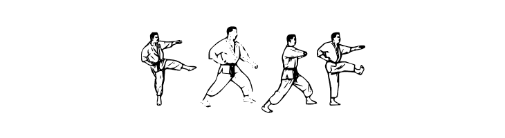 McCoy Dingbat Karate  Free Fonts Download