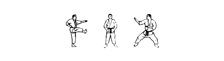 McCoy Dingbat Karate  Free Fonts Download