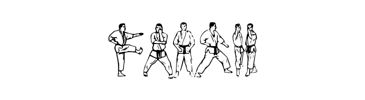 McCoy Dingbat Karate  Free Fonts Download