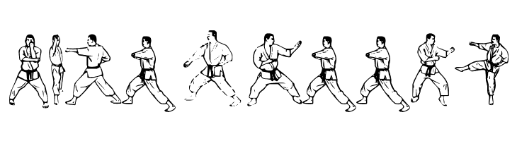 McCoy Dingbat Karate  Free Fonts Download