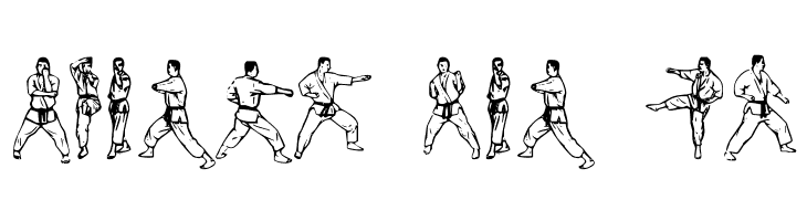 McCoy Dingbat Karate  Free Fonts Download