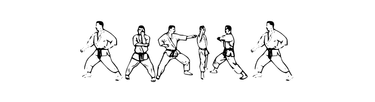 McCoy Dingbat Karate  Free Fonts Download