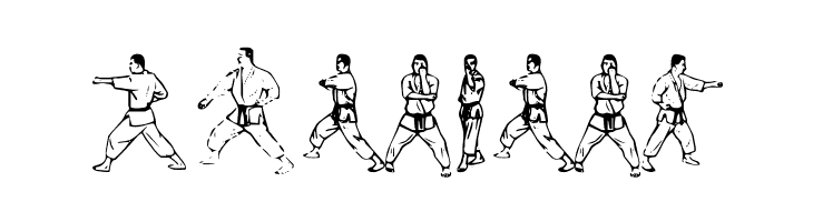 McCoy Dingbat Karate  Free Fonts Download