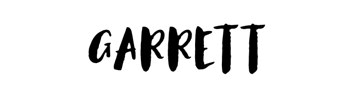 AntumsBrush  Free Fonts Download