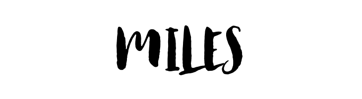 AntumsBrush  Free Fonts Download