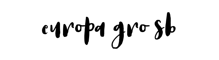 AntumsBrush  Free Fonts Download