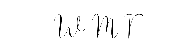 Solidar Light  Free Fonts Download