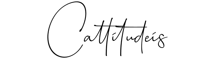 Baltimore Bold  Free Fonts Download