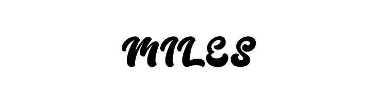 Boldie Script  Free Fonts Download