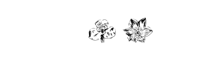 Tupiniquim-Flora  Free Fonts Download