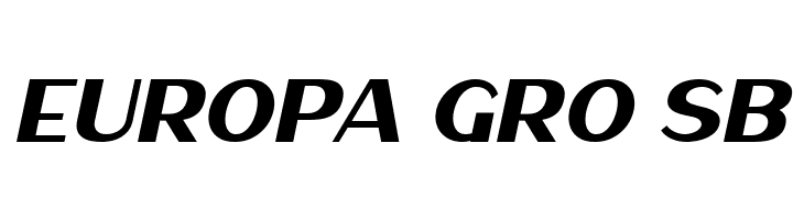 Haarlem Sans Italic  Free Fonts Download