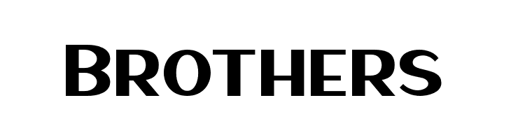 HaarlemSans  Free Fonts Download