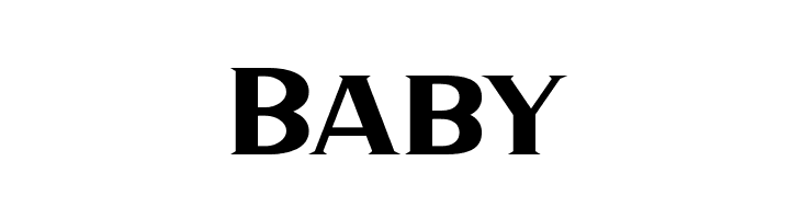 HaarlemSerifDEMO  Free Fonts Download