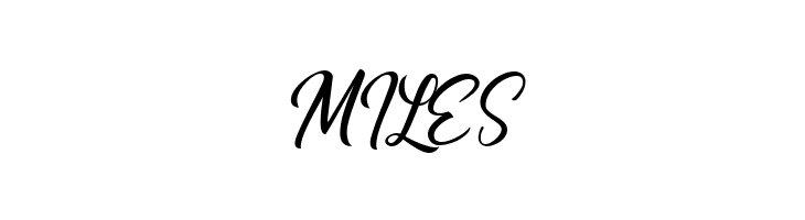 Alishader Demo  Free Fonts Download