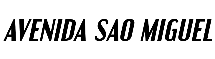 EngebrechtreRg-BoldItalic  Free Fonts Download